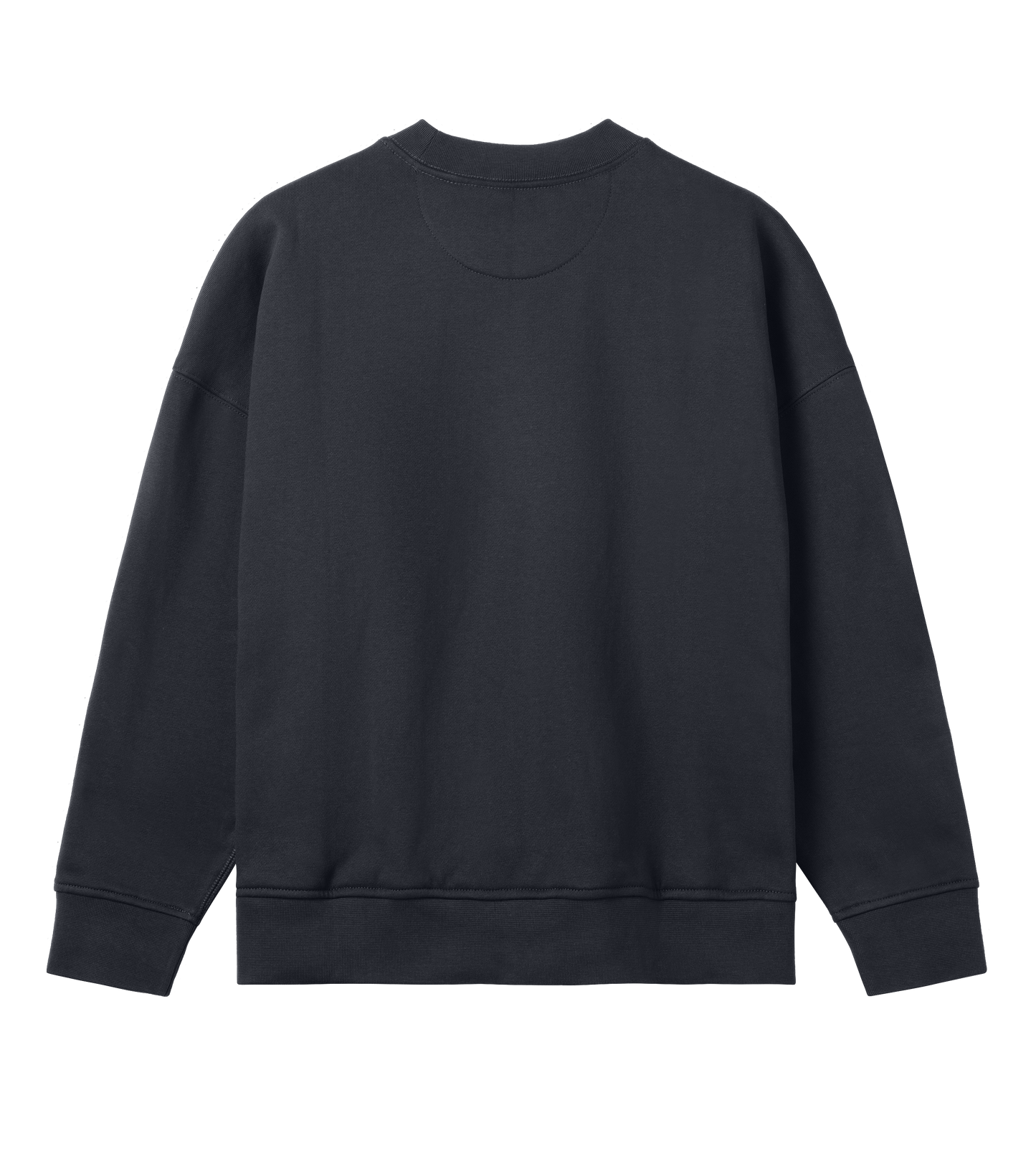 Age of Pisces - Wmn's Oversize Sweatshirt